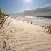 Sanddüne mit Gräsern im Vordergrund, mit Meer und Himmel im Hintergrund, helle Sonne strahlt herab.
